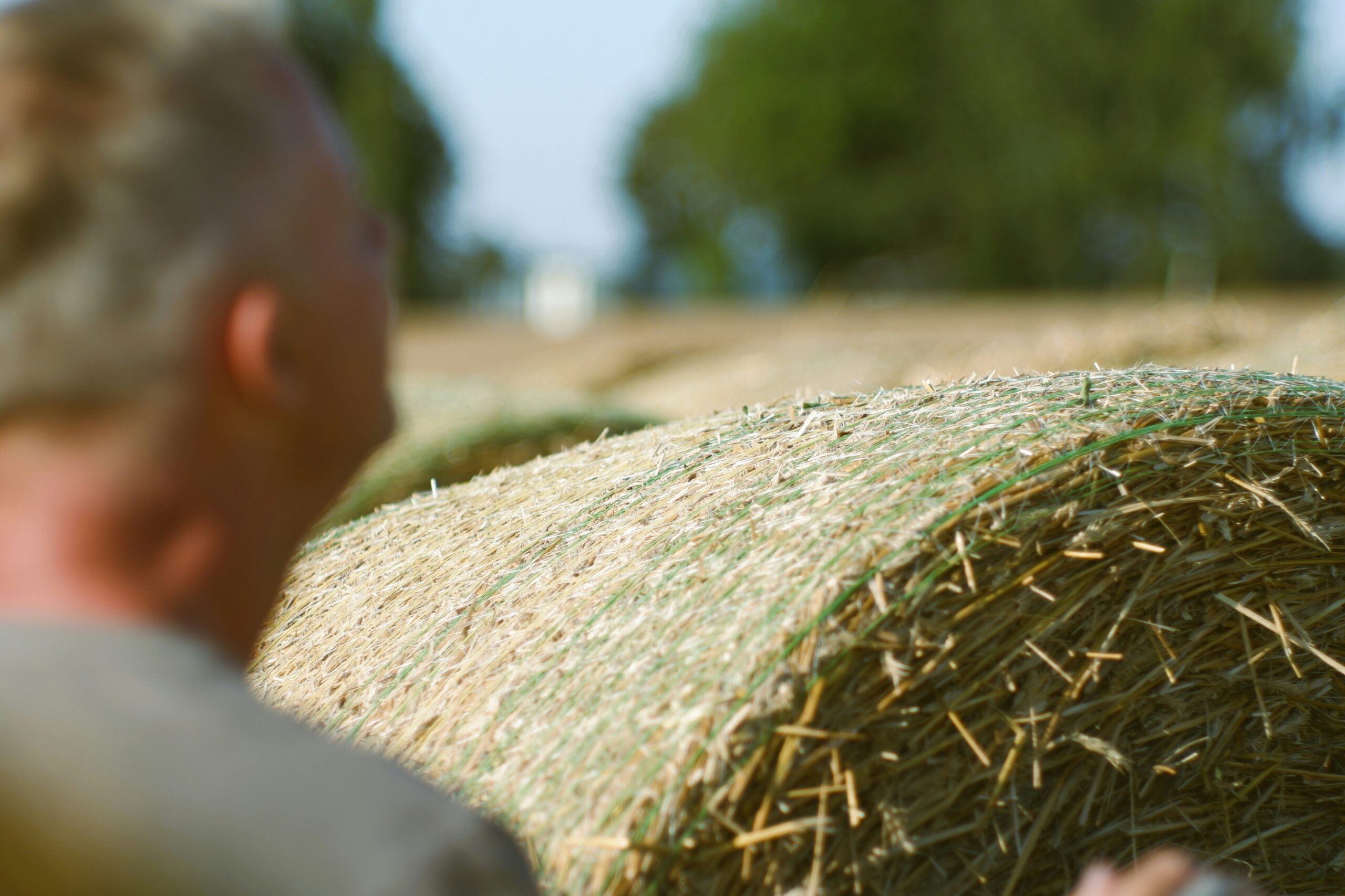 farming