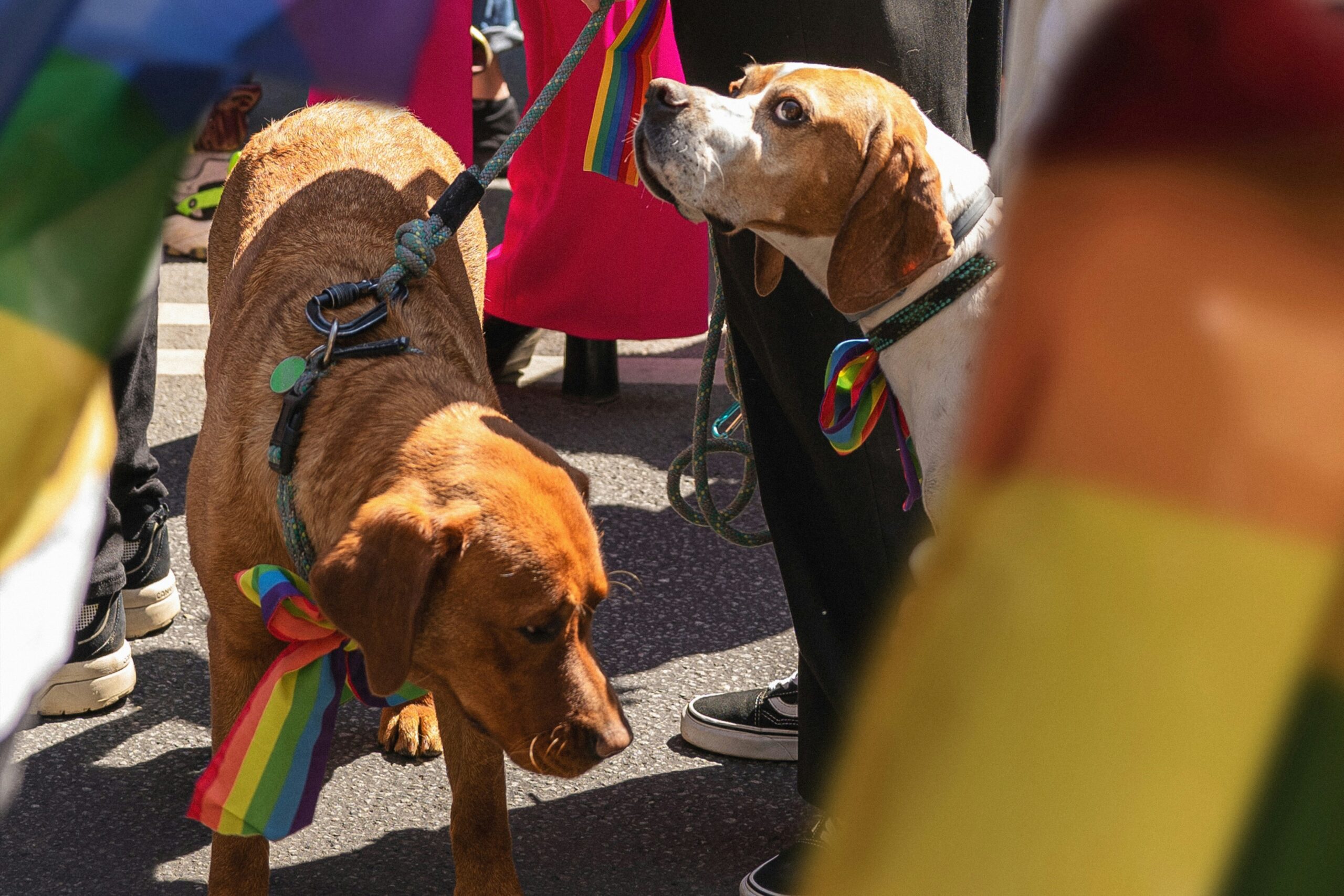 Riga Pride
